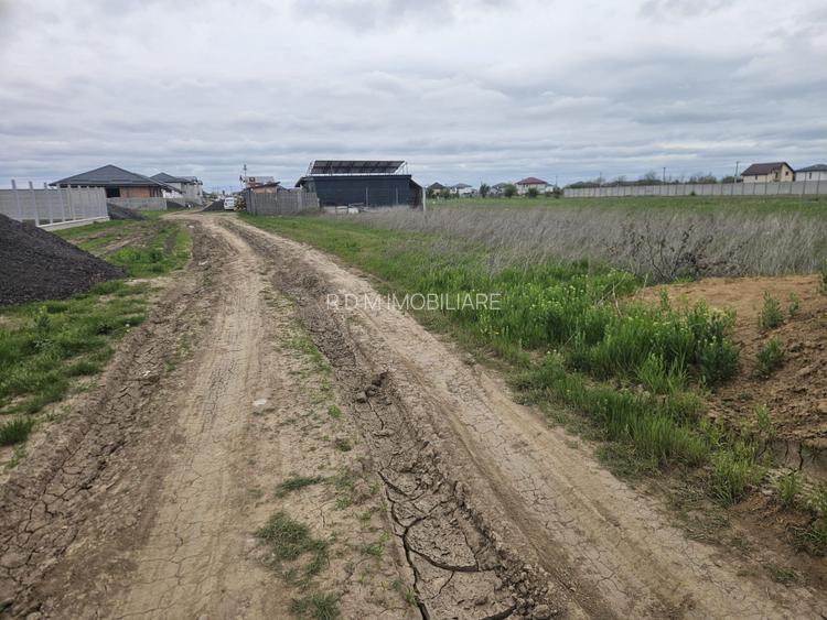 LOT 500 mp Clinceni - 5