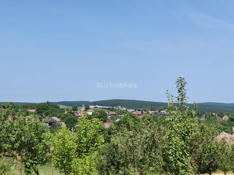Casa individuala cu teren de 5000 mp, Deusu - 7