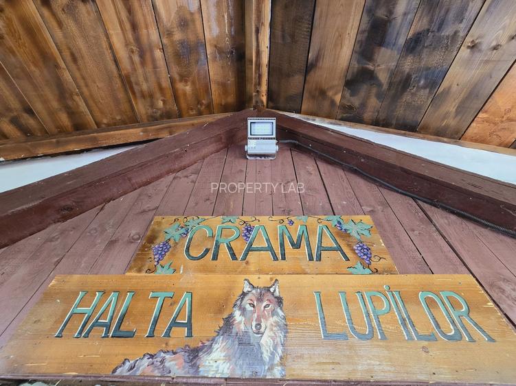 Vie Tradițională „Halta Lupilor” - 2