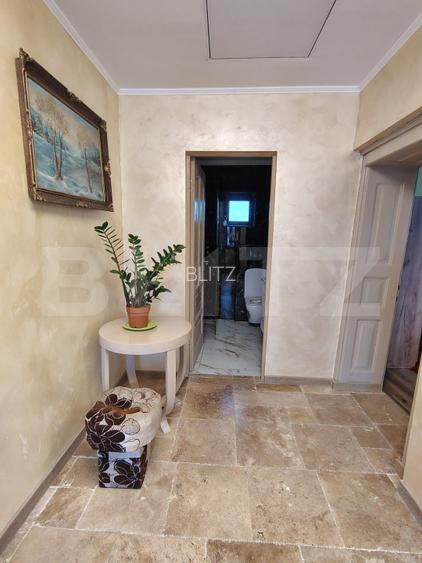 Proprietate cu 2 case, una fiind traditionala, Dezmir  - 4