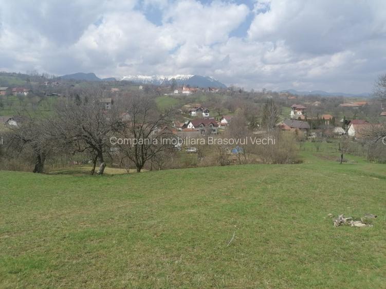 Teren intravilan parcele 1.500 mp Sohodol - Bran. - 9