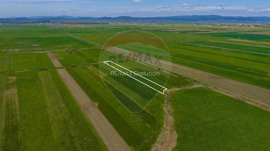 Teren EXTRAVILAN | 4,000mp Stupinii Prejmerului | COMISION 0% - 8