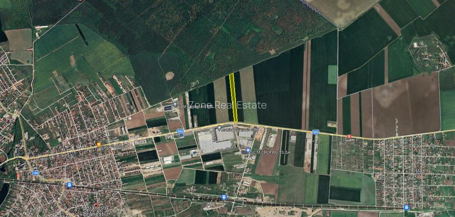 Teren Vanzare Intravilan Branesti - Investitie Zona Industriala Vis a Vis Makita - 14