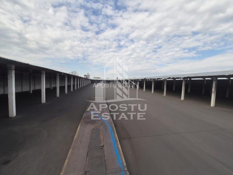 PLATFORMĂ INDUSTRIALĂ 3HA SILOZURI 50M ACCES CFR SÂNNICOLAU MARE - 5