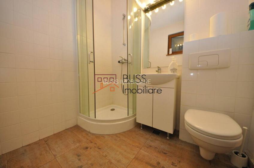 Apartament 2 camere în zona Domenii - 14