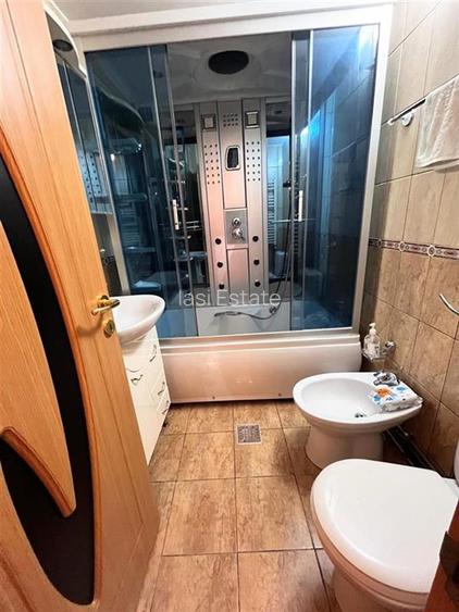 Impecabil Apartament 2 camere Nicolina cu pod - 8