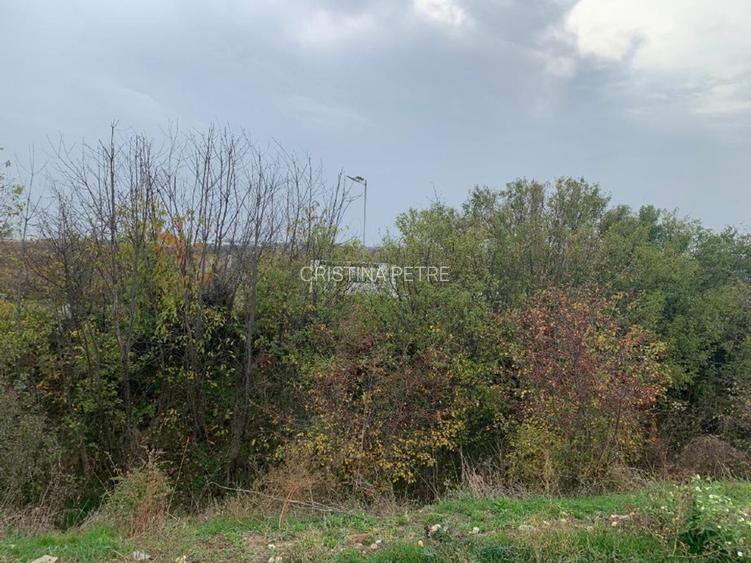 Teren Sabareni linga padure 10 minute pina in Bucuresti - 7
