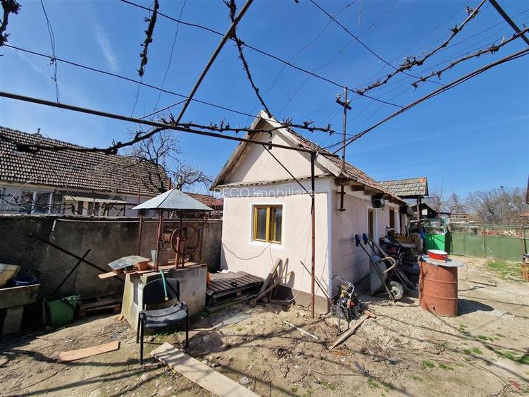 Teren mare cu 2 case in Sabolciu, com. Sacadat - 16