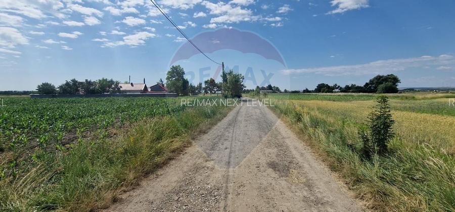 De vânzare teren 10.001 mp sat Oniscani, comuna Filipești - 4