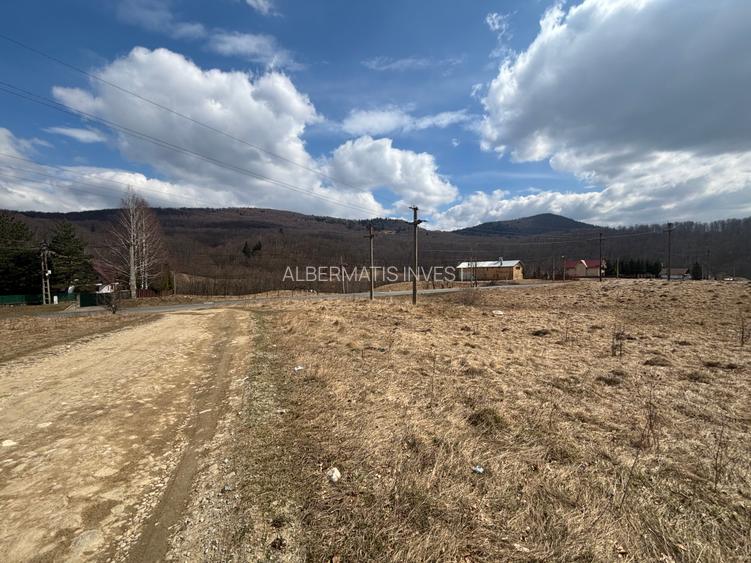 VANZARE PADURE MANECIU -CHEIA,  40HA - 3