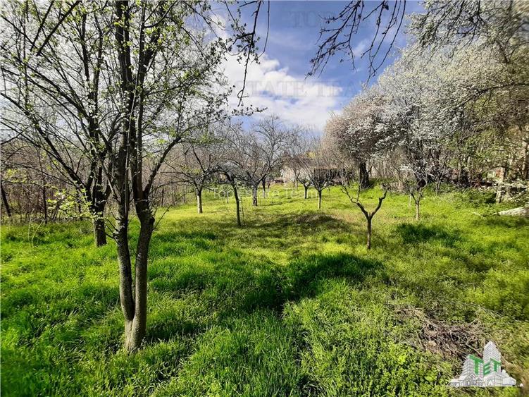 Teren 1274 mp cu livada si casa veche Primarie Bragadiru - 3