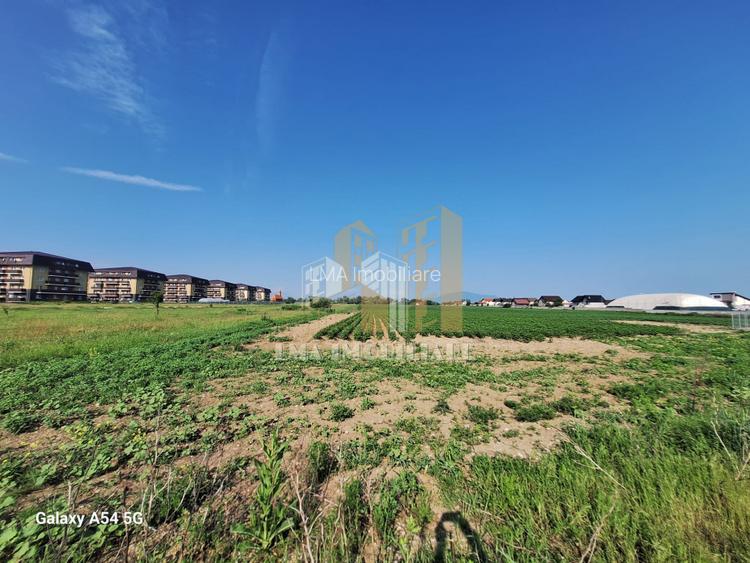 Teren Sanpetru Brasov - 2