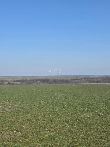 Teren de vanzare, 3800 mp, zona Mischii sat Gogosesti  - 2