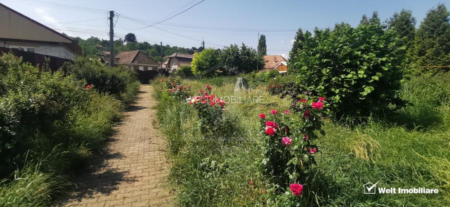 Casa individuala cu teren mare, 2 surse de apa, Moldovenesti-Cluj - 3