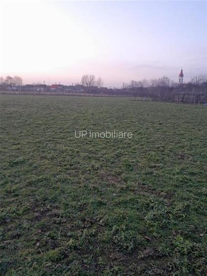 COMUNA CHESA | 2 CASE | TEREN 5.526 MP | DUBLU FRONT | BIHOR - 13