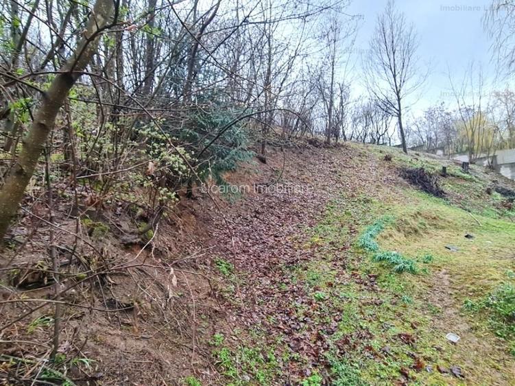 Teren intravilan1291 mp Schei Str Nisipului iesire la Drumul Poienii - 7