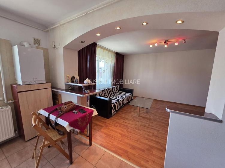Garsonieră spațioasă Ozana, parcare, centrală proprie, balcon, pet friendly - 2
