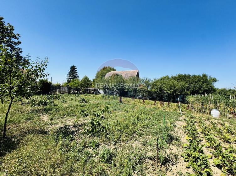 Teren 6,210mp Apateu / Strada Principala - 22