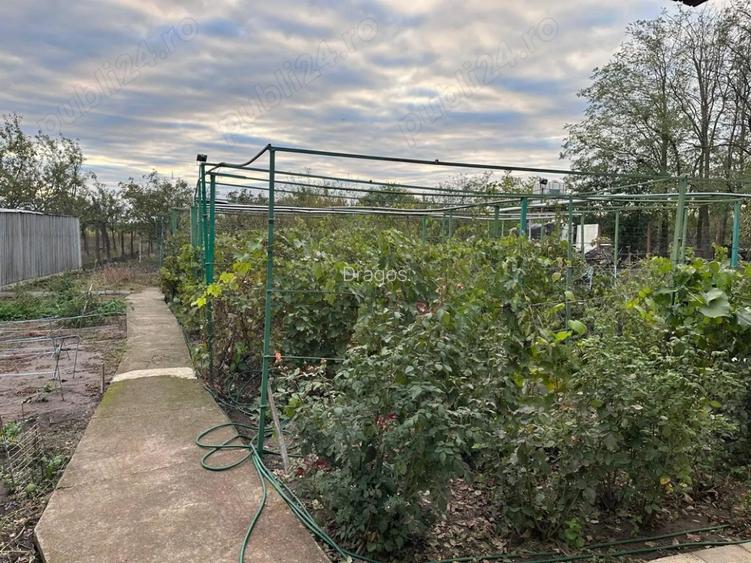 Vanzare casa Gostilele - Fundulea - 3