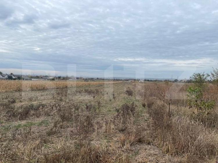 Teren extravilan de 2539 mp in Dudovicesti