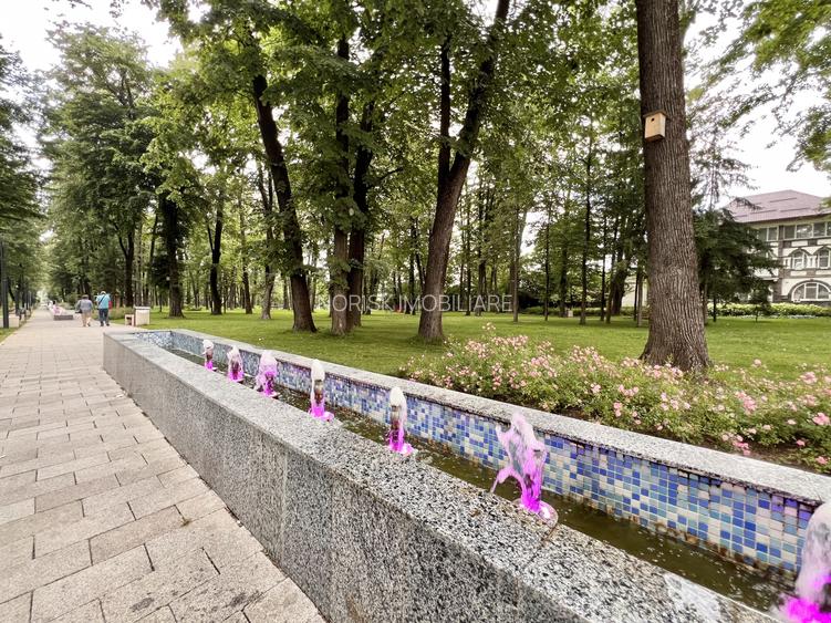 3 Camere I Vizavi de Parc PUCIOASA I 75 MP I Oportunitate ! - 24
