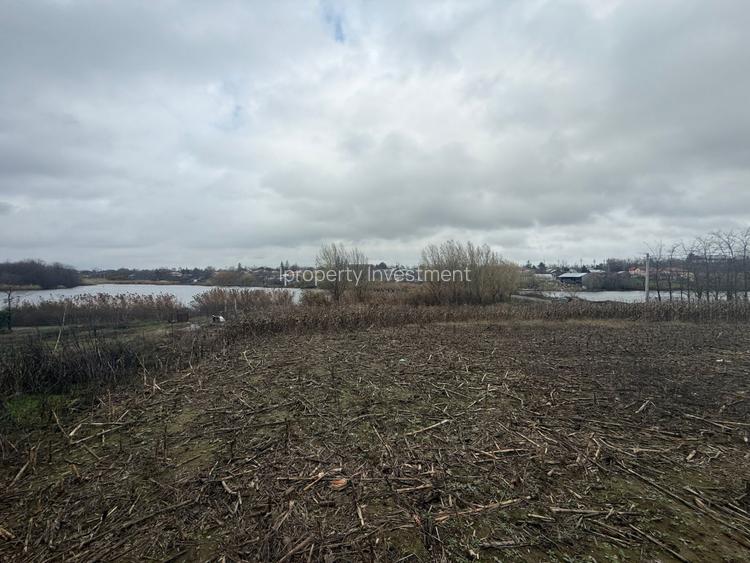 Direct Proprietar Teren 2.000 Mp | Ileana - Calarasi | Dubla Deschidere Stradala - 4