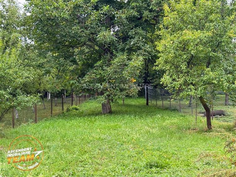 FILM!  2 case,domeniu de 1.660mp, cu atelier,anexe,Lemnia,Covasna - 39