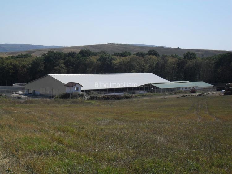 Ferma Zootehnica la standarde Europene - 12