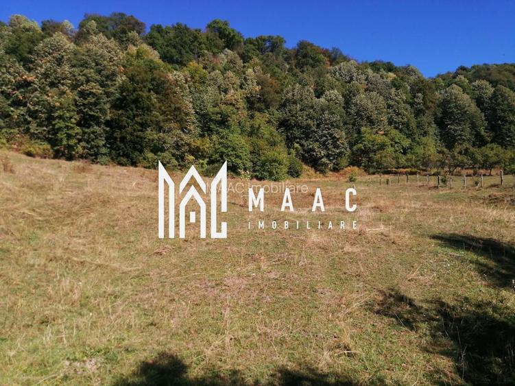 Teren Extravilan 20.000Mp I Stoenești -Vâlcea I Apă Curentă și Pădure - 11