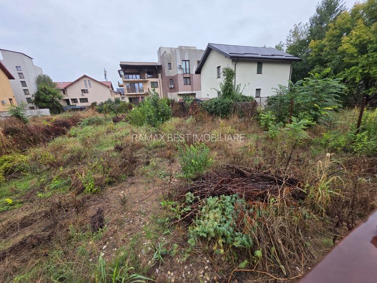 B-ul Nicolae Grigorescu, chiar la pasajul peste Spaliul Unirii, - 8