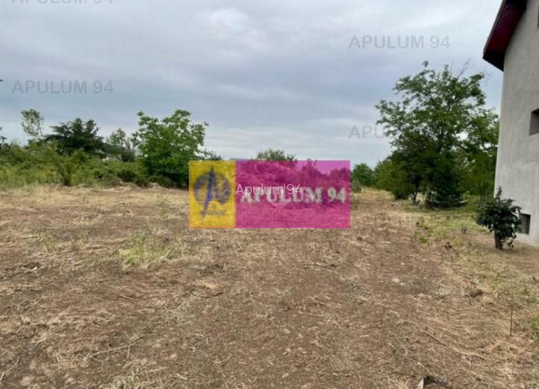 Teren Domnesti- Mega Image. - 3