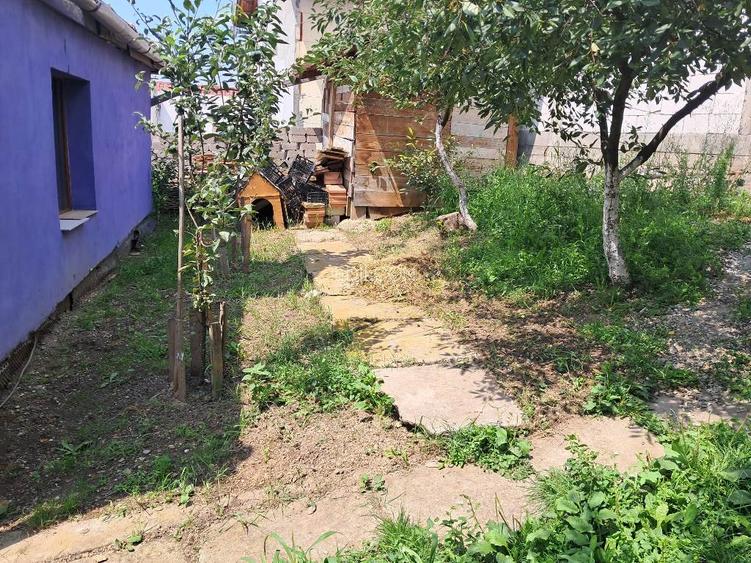 Casa singur in curte in Gusterita - 7