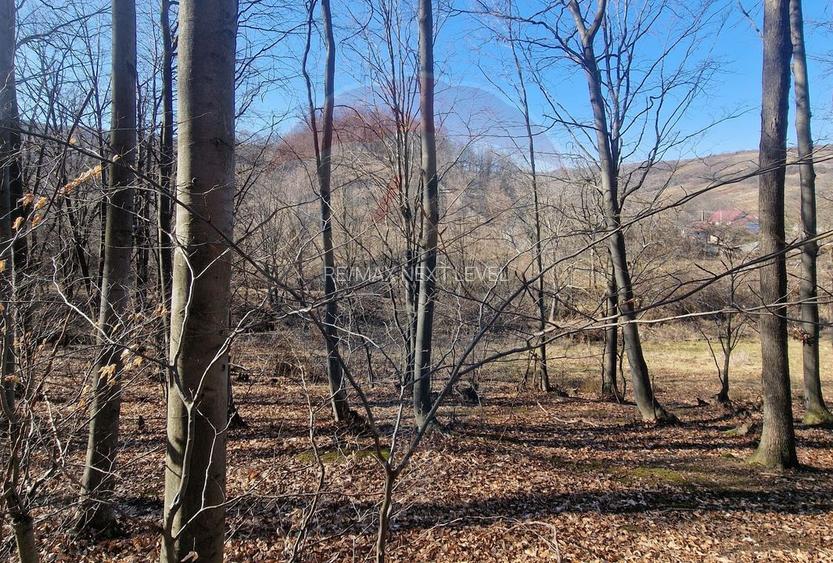 Teren de Vânzare în Pâncești (Sascut) - 15