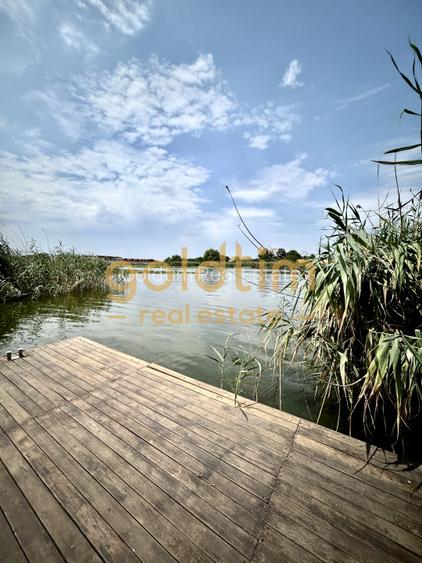 VILA SUPERBA+CASA OASPETI/PISCINA/IESIRE LAC-PONTON/DEBARCADER/GARAJ/SERA/SNAGOV - 15