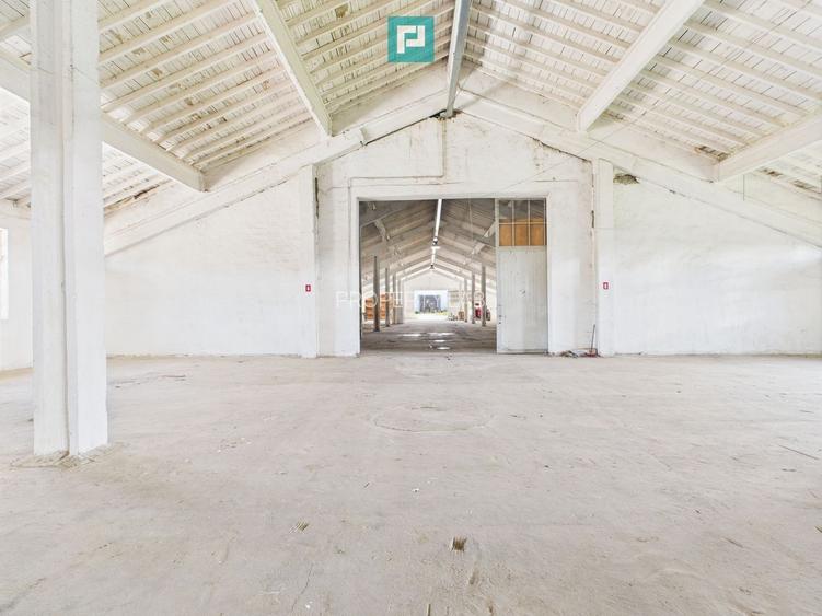 Hale 1800 mp fiecare – acces autostradă, Teiu, HD - 2