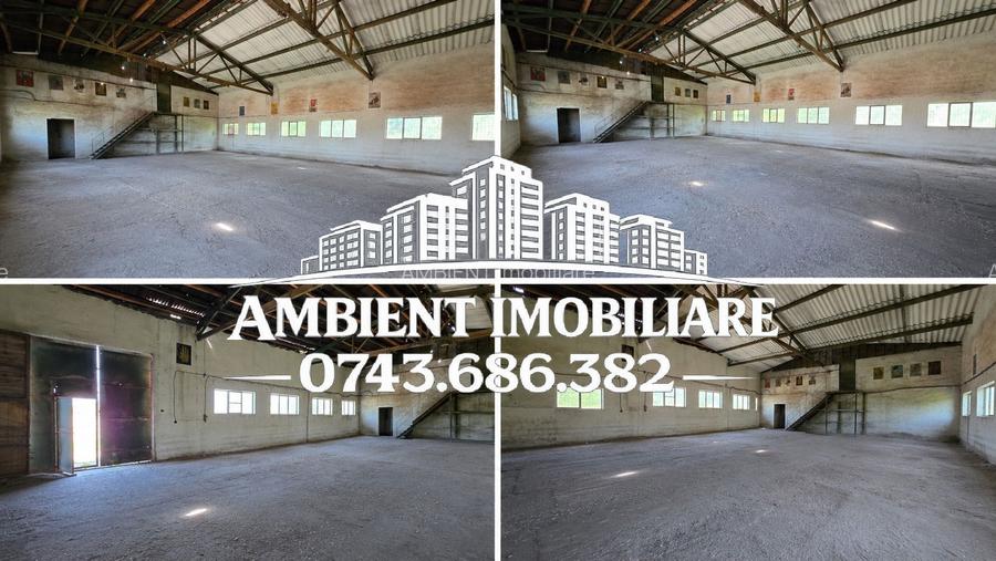HALĂ DEPOZITARE sau ATELIER, teren 310 mp, VASLUI - zona Industrială; - 2