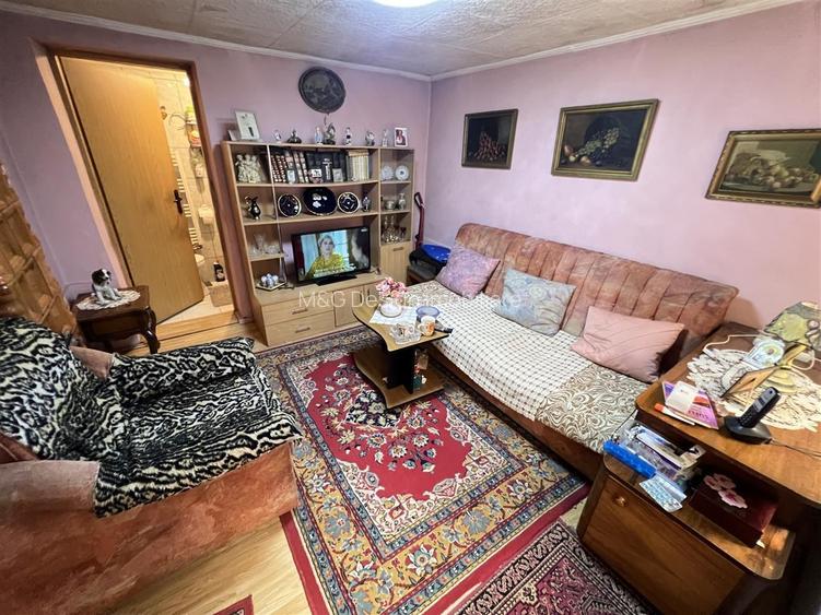 Casa pentru 2 familii zona Ghiroda CENTRALA teren 570mp - 10