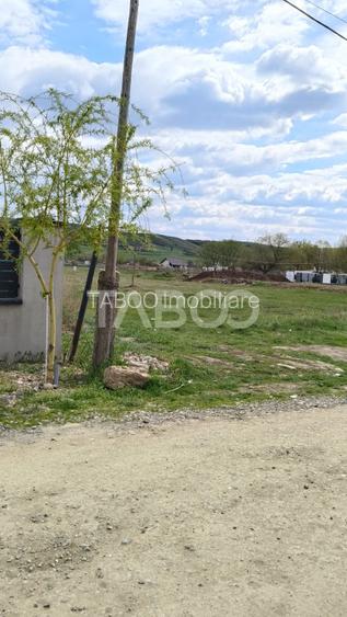 Teren de vanzare in Sebes - intravilan - 3