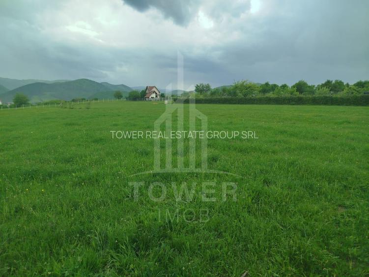 Teren de vinzare in Tropini Vechi - 7