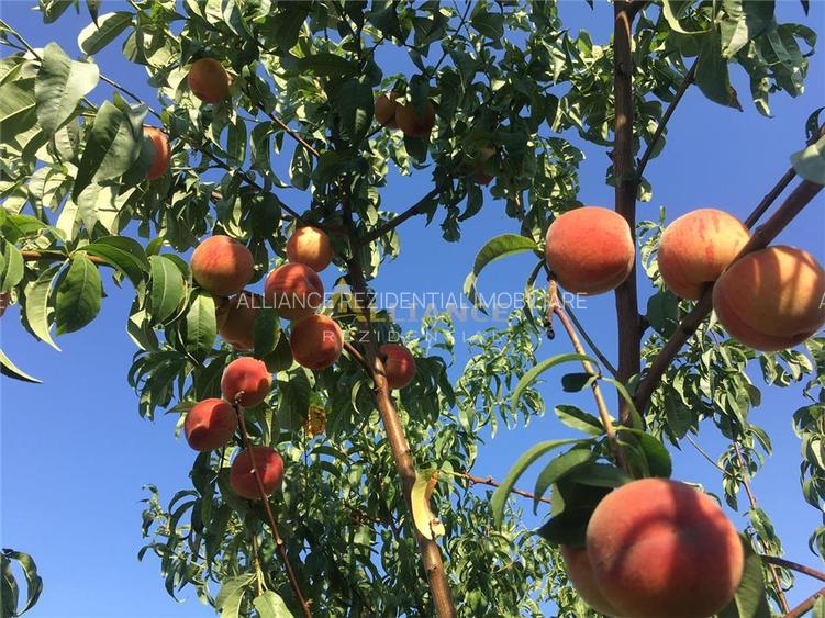 Vila spectaculoasa - 249 mp utili, teren 881 mp, - 13