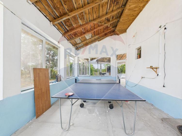 Proprietate speciala Dragomiresti Deal -Teren 15000 mp - 29