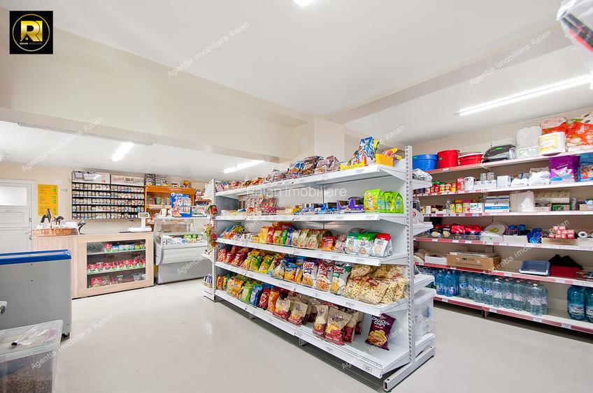 Vanzare Proprietate mixta si Afacere la cheie in Sat Costi, teren 400 mp - 15