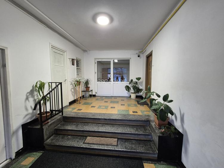 Chirie 2 camere, recent renovat, vedere parc, zona piata dacia - 12