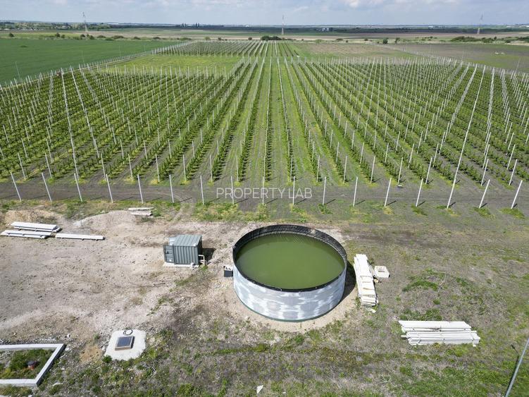 Platformă agro-industrială cu potențial de scalare - 8