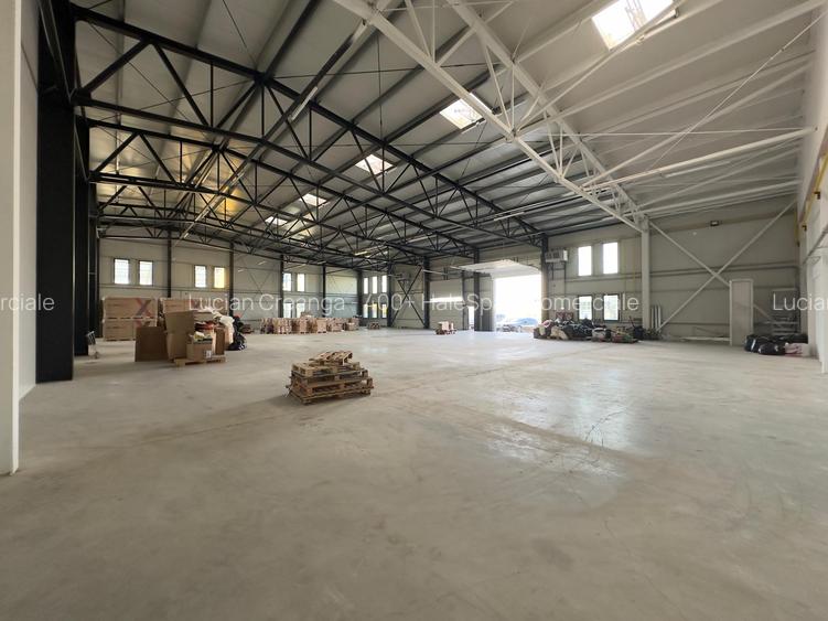 Hala, showroom de inchiriat, 1156mp, Parc Miroslava - 3