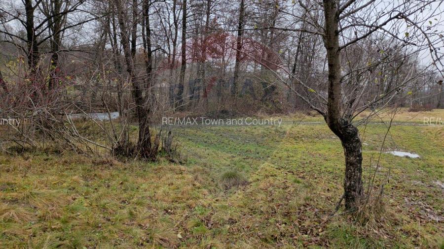 Teren 2,932mp Sarbi (Budesti) / Drumul Principal - 6