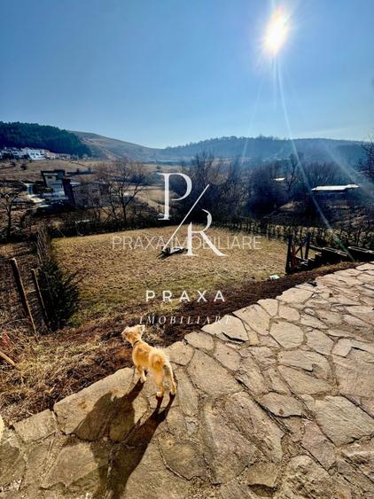 Casa alipita, 8 camere, 200 mp, 644 mp teren, garaj, parcare, zona Tautiului! - 12