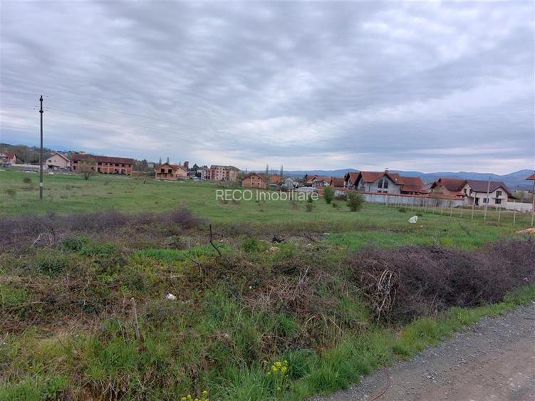 RECO Teren 4935mp in Beius - 2