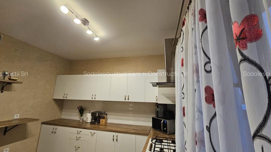 Vila individuala la 30 km de Timișoara - 15