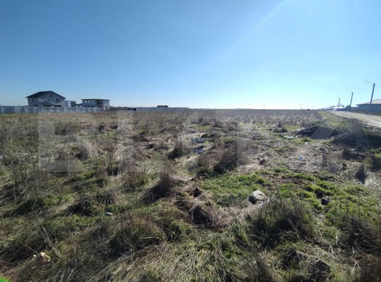 Lot 5 parcele intravilan, Metro, 7439 mp, acces la utilitati - 3